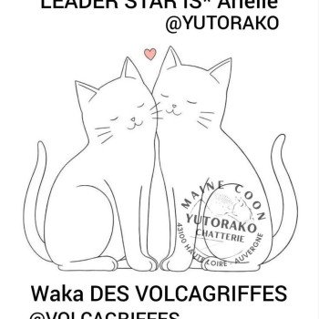 FB_IMG_1766684950523