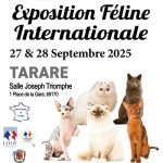 506038004_122145926666593658_4547867335743193927_n